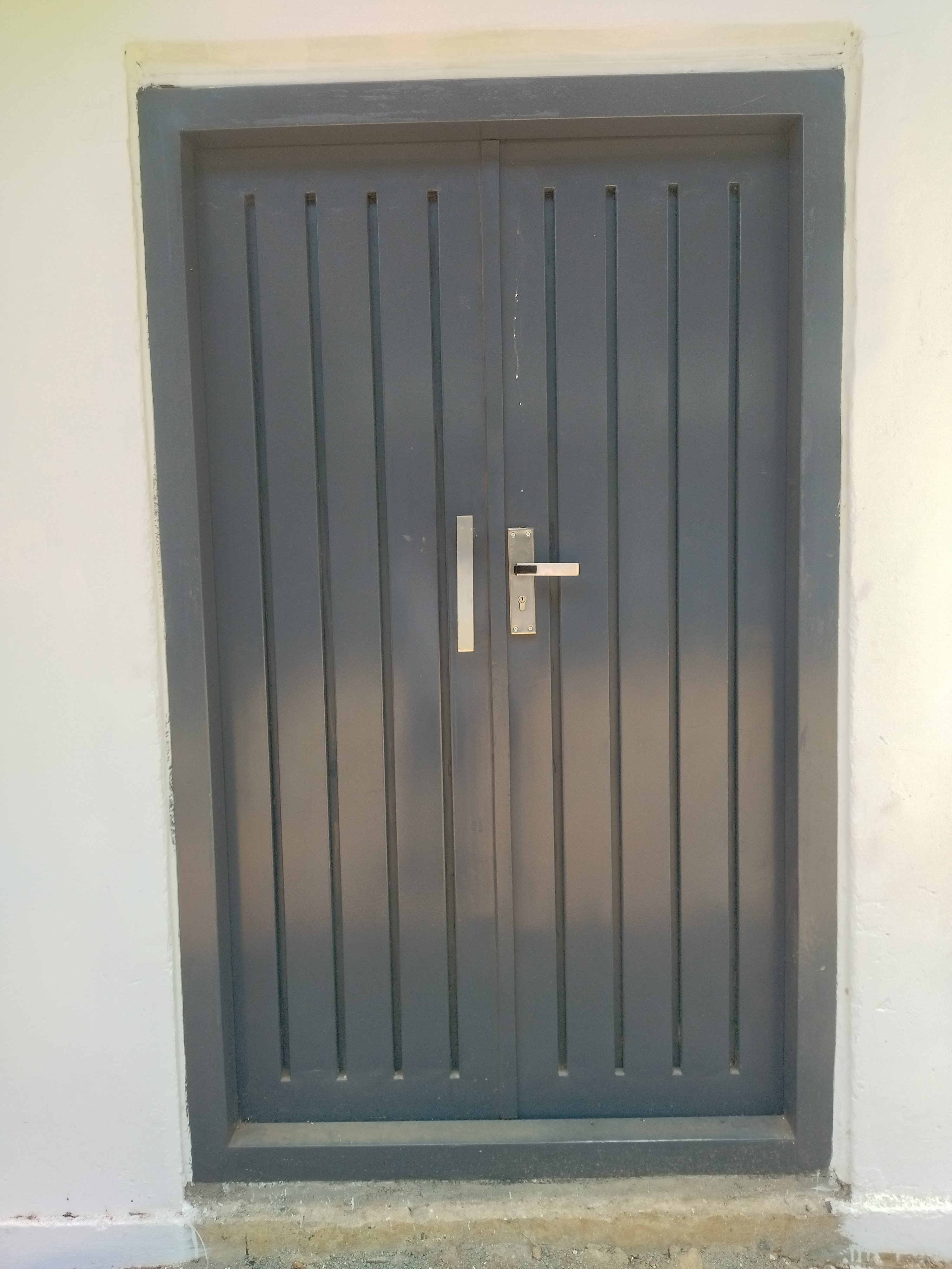 Steel Doors